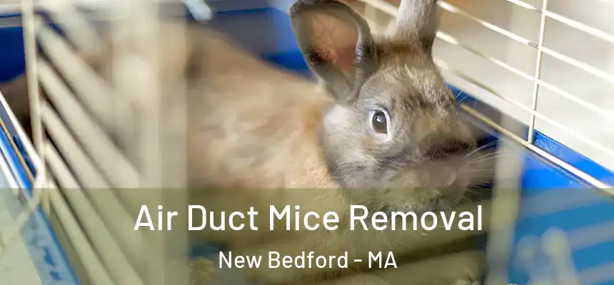  Air Duct Mice Removal New Bedford - MA
