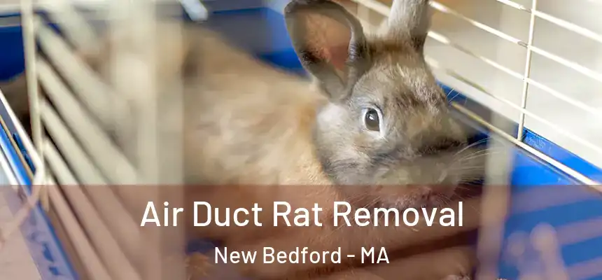 Air Duct Rat Removal New Bedford - MA