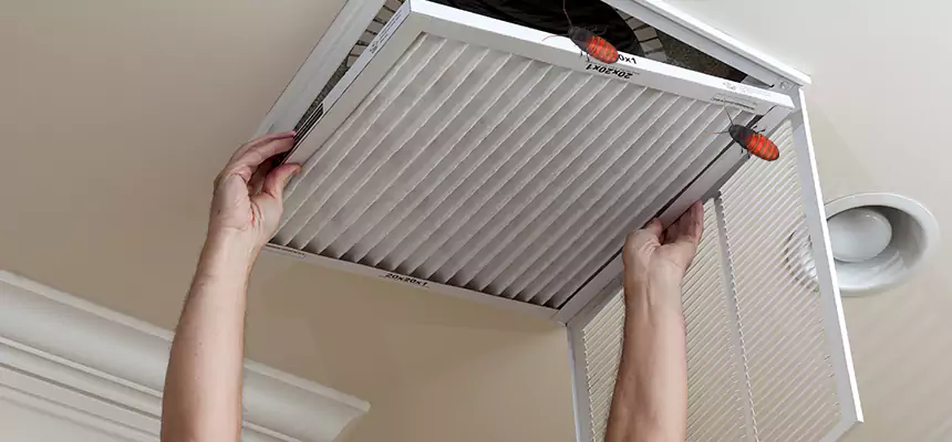 Preventive Cockroach-Proofing for Ducts in New Bedford
