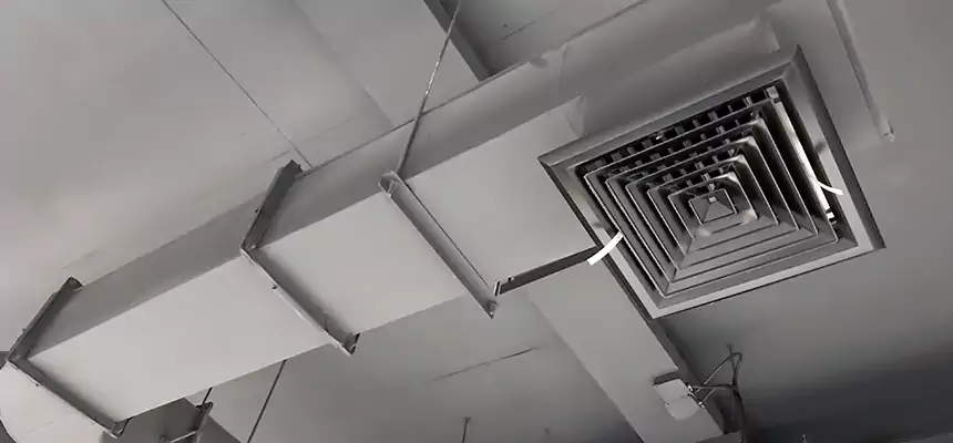 Our Pest Removal From Ducts Services in New Bedford, MA