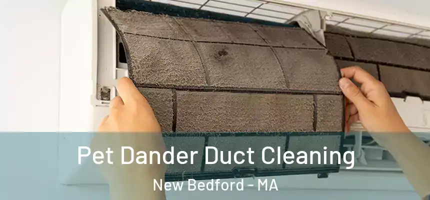Pet Dander Duct Cleaning New Bedford - MA