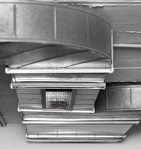 Professional Air Duct Pest Removal in New Bedford, MA