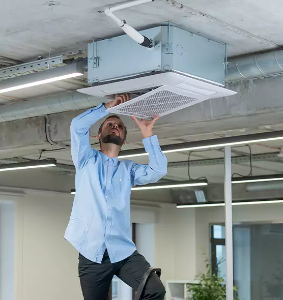 Advanced Rodent Droppings In Vents in New Bedford, MA
