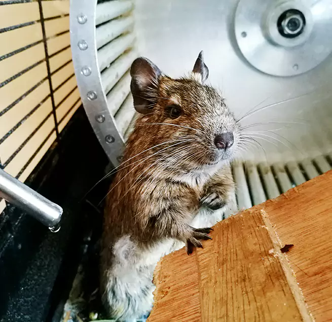 Why Homeowners & Businesses Trust Us New Bedford, MA?